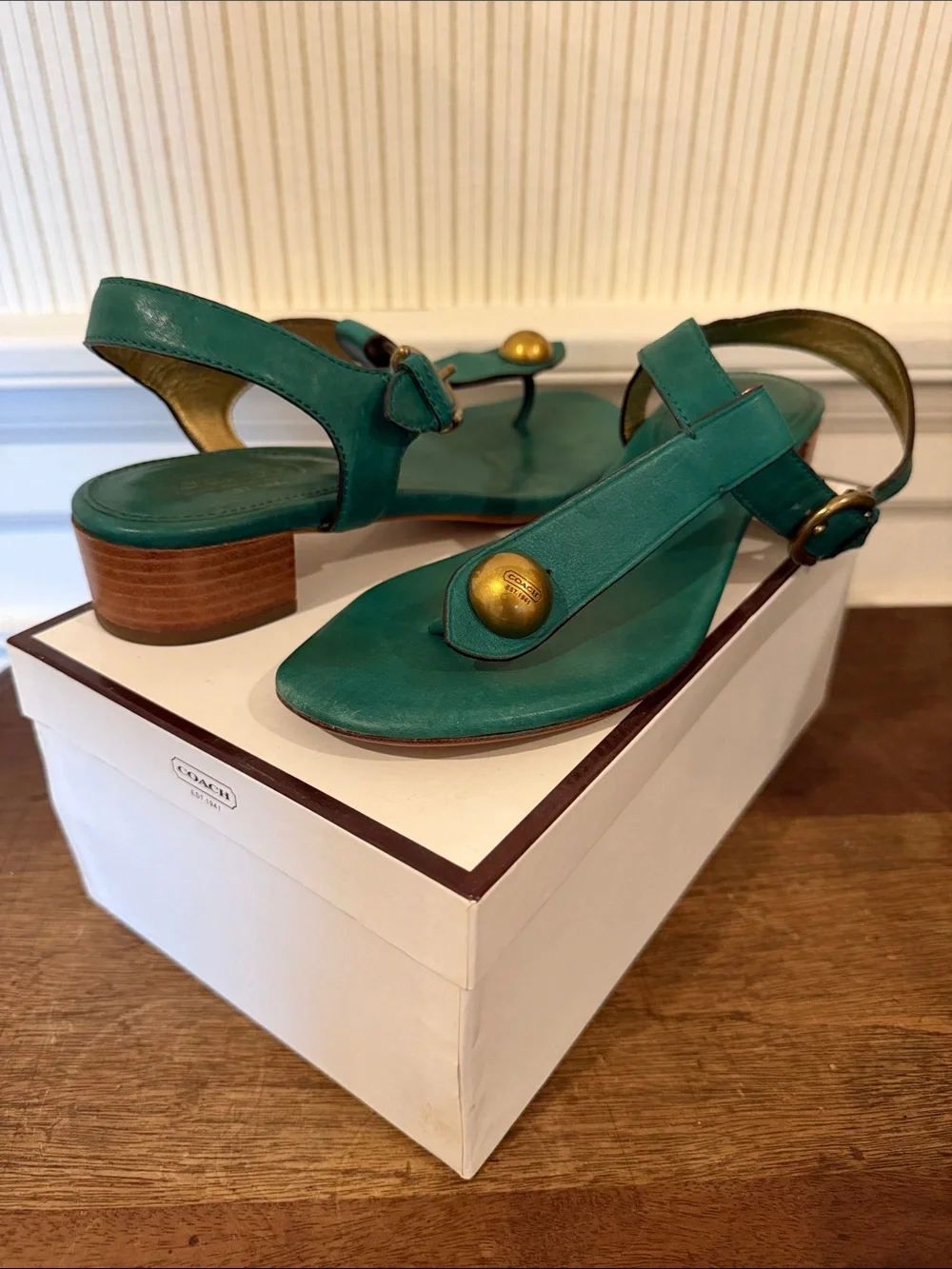 Coach Teal Leather Thong Sandals with Gold Accent and Low Stacked Heel
